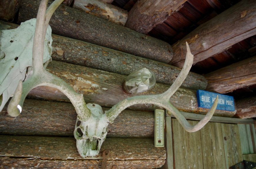 A fruit jar with papers in it attached horizontally to the inside wall of a log cabin above a large pair of deer antlers.