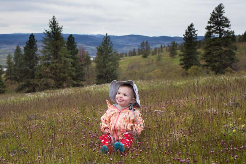 A smiling baby sitting among purple-blooming flowers on a hillside meadow, with scattered coniferous trees in the middle distance and mountains in the distance.