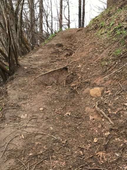 An uneven section of uphill trail with roots crossing the tread and holes in the surface.