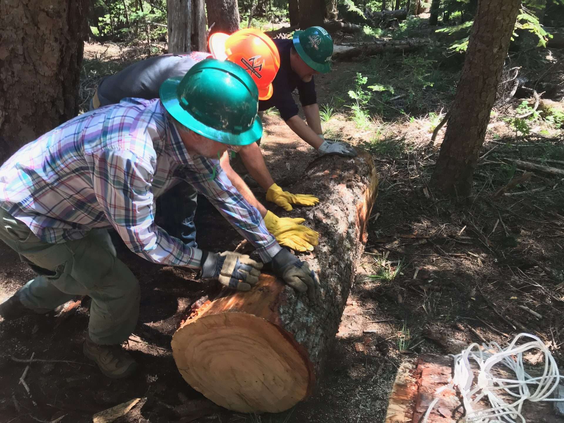 Three hard-hatted people crouch side by side with their hands on a cut section of log.
