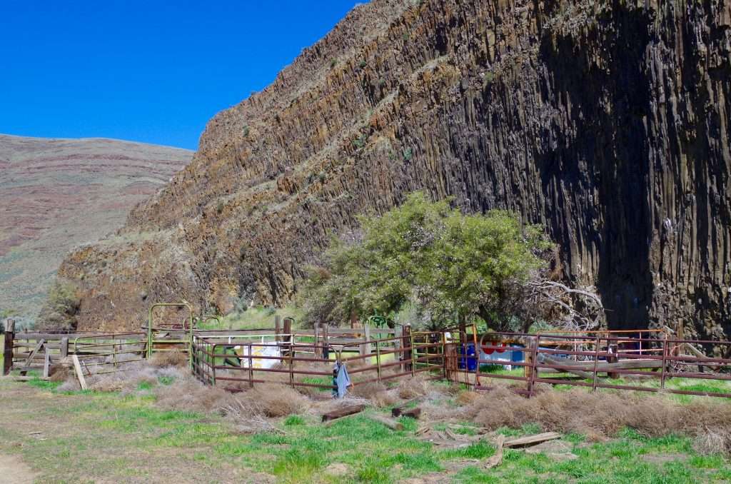 An old cattle corral below basalt cliffs