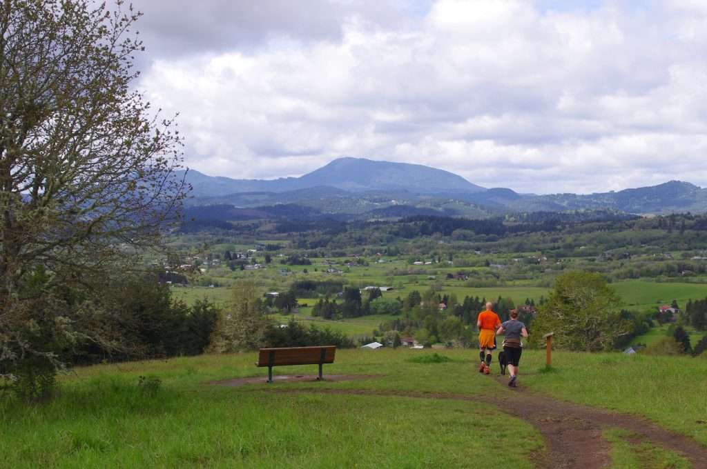 Two hikers and a dog descend a trail toward a green valley sprinkled with buildings, against a backdrop of rounded forested hills and a mountain. 