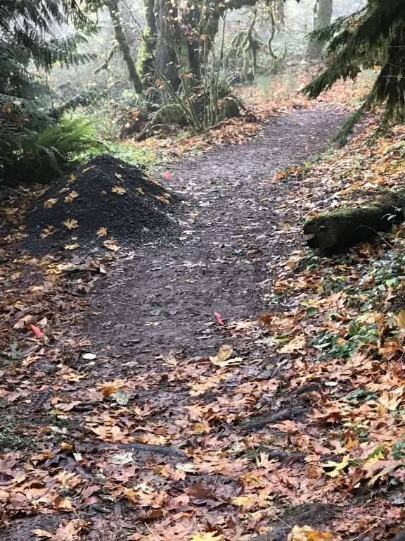 A wide, wet, muddy trail, partly covered with yellow and brown fall leaves.