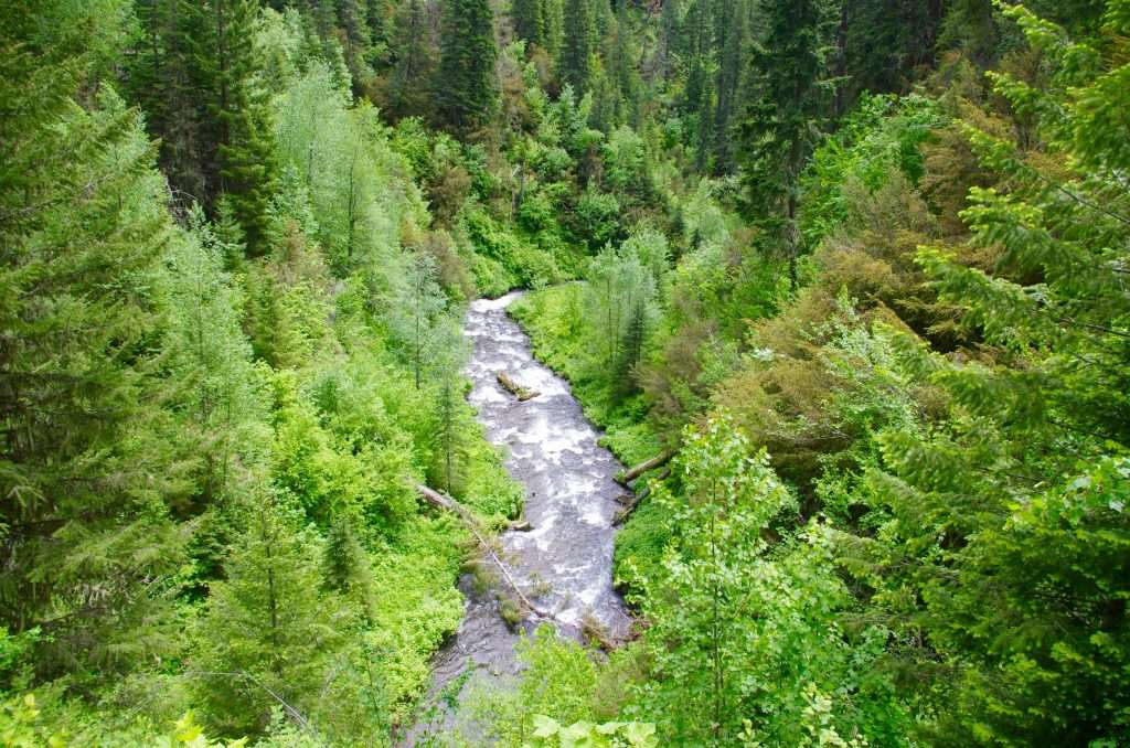 A small frothy river rushing through a green, forested canyon, seen from high above.