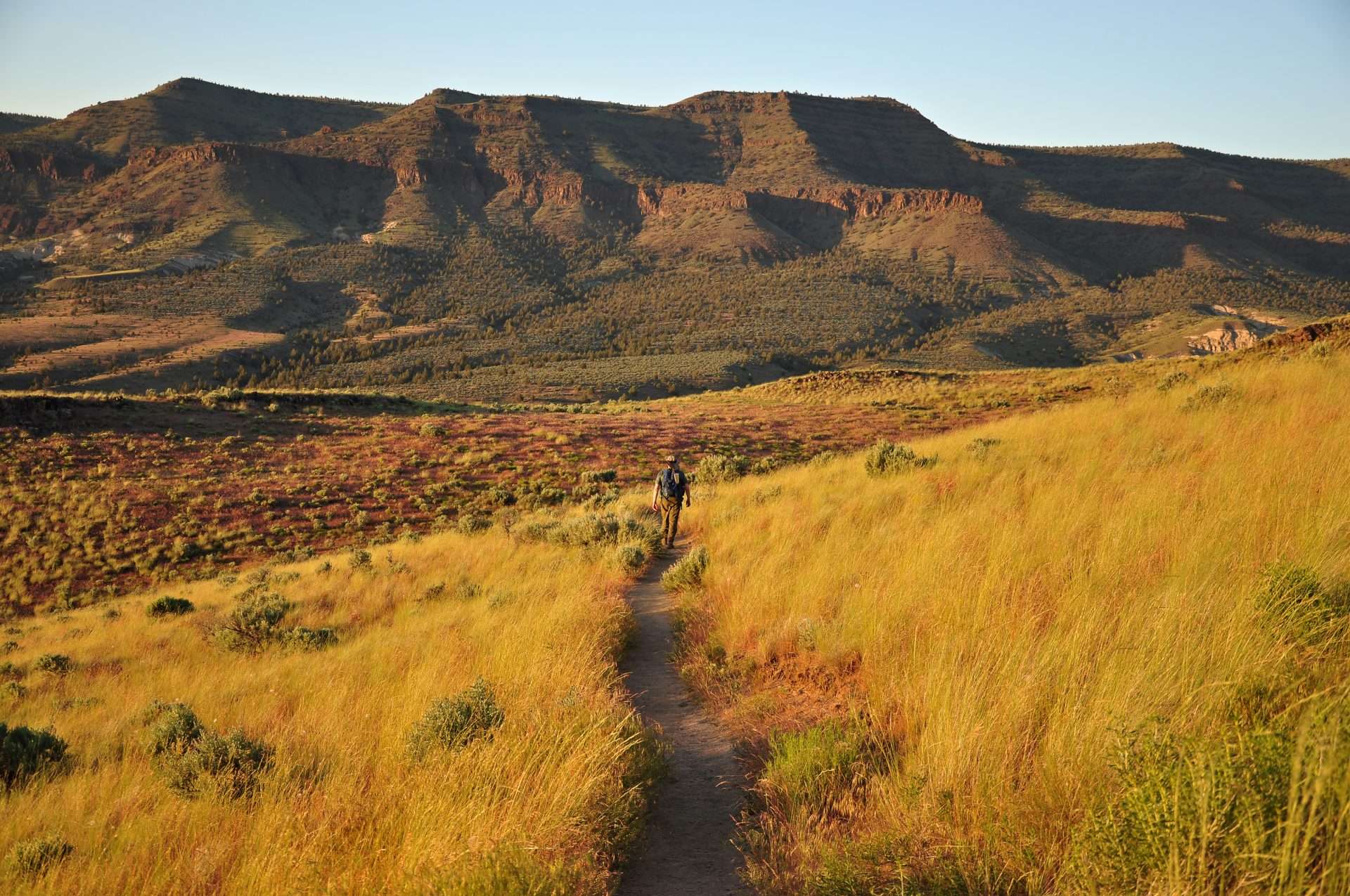 A man hikes away from the camera on a trail through dry grass with a mountain rising beyond.
