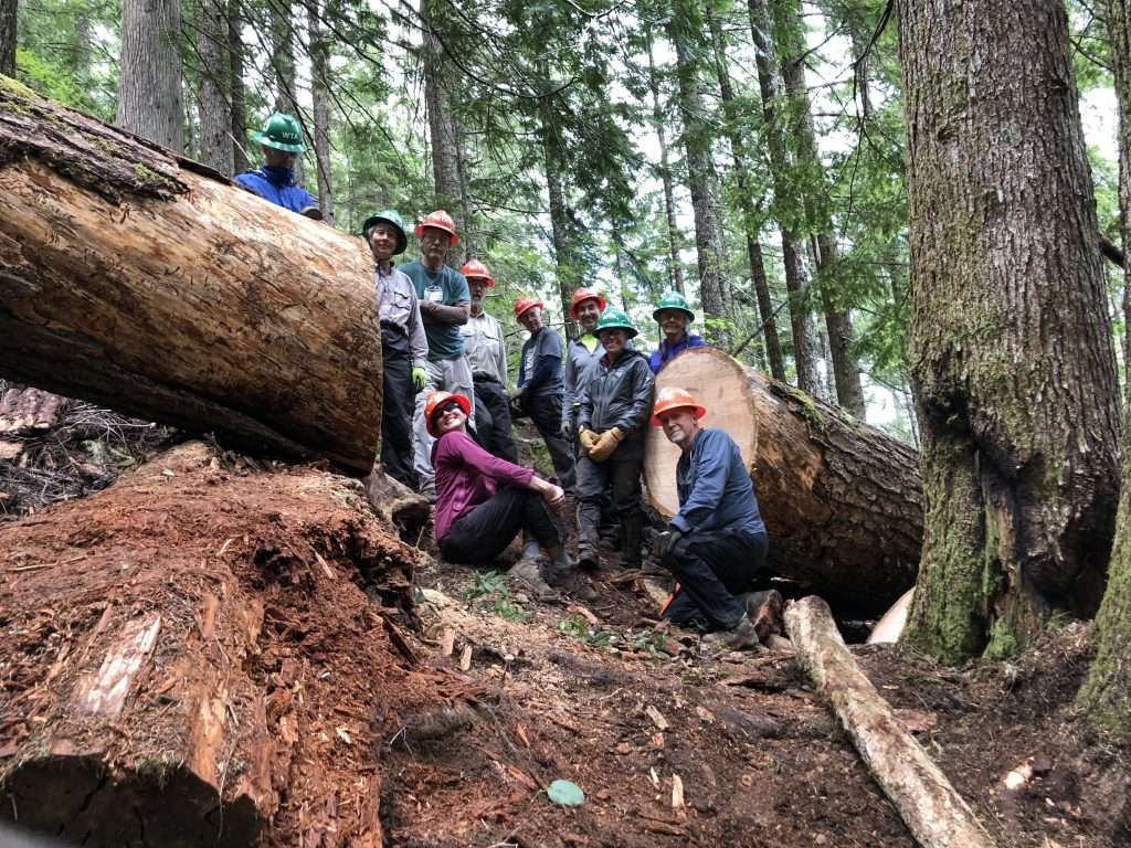 Ten workers in hardhats posing between the cut sections of a thick log across a trail.