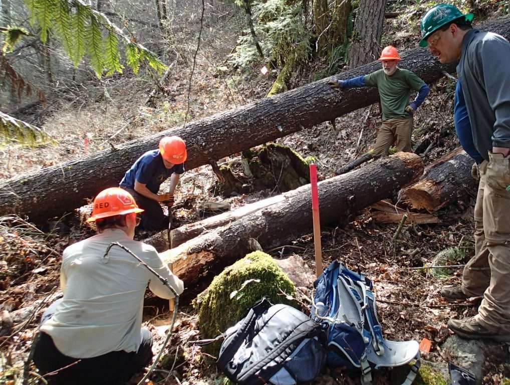 Two workers on either end of a long crosscut saw pulling it across a log while two other workers look on.