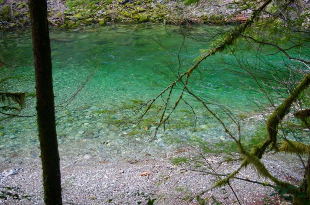 A view down through trees of a clear turquoise-colored stream.