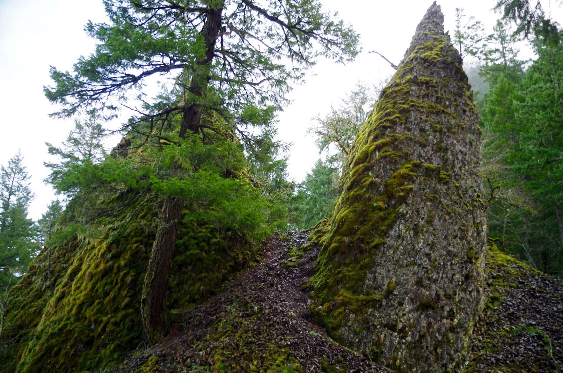 Two pointed basalt pinnacles, one of them partially obscured by a tree.