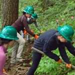 Four trail volunteers in green hard hats dig into a vegetated hillside to restore the original trail width.