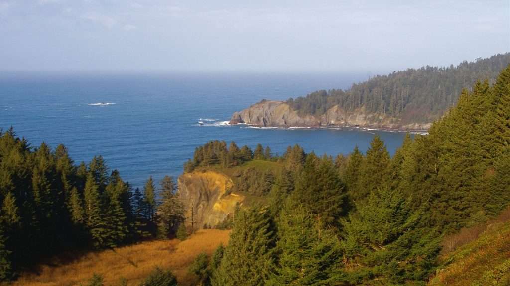 An ocean coastline with forested land