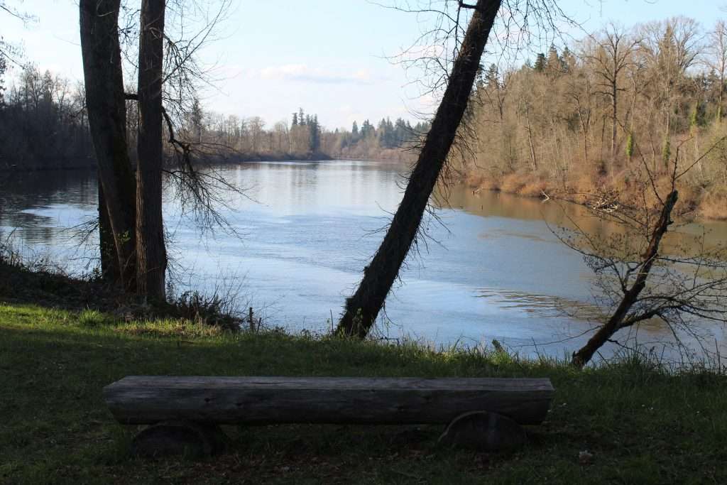 A bench faces out past the trunks of trees onto a peaceful stretch of river with leafless deciduous trees and conifers on the opposite bank.