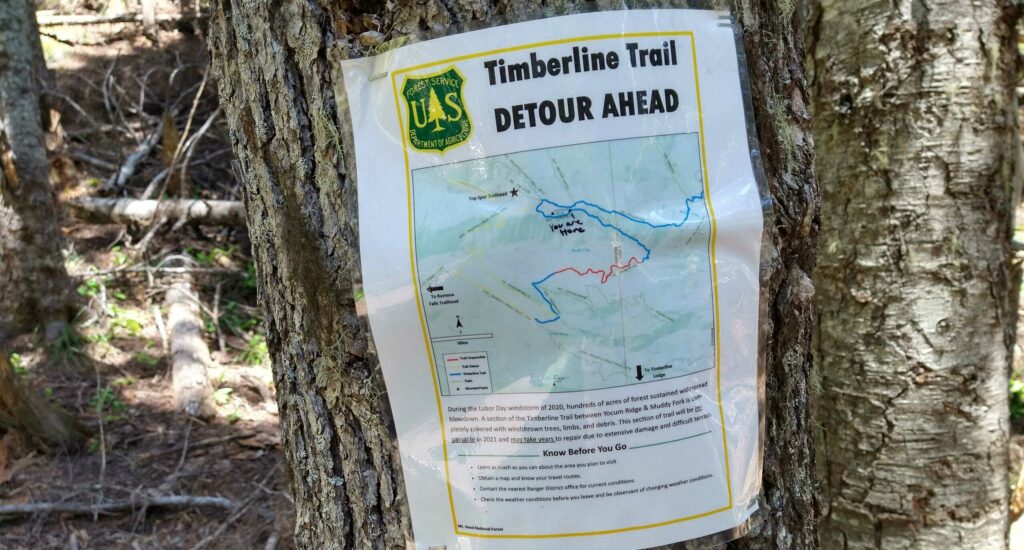 Close up of a hiking trail detour announcement stapled to a tree trunk.